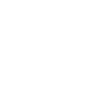 Check Icon
