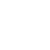 Werkzeug Icon